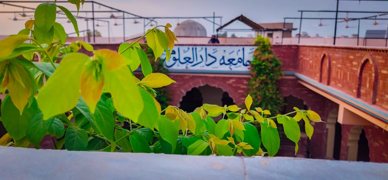 جامعه جا سهڻا منظر — 1